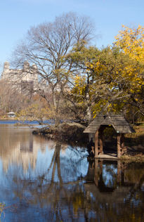 lago de Central Park