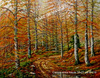 Bosque 27x35 cm nºc16