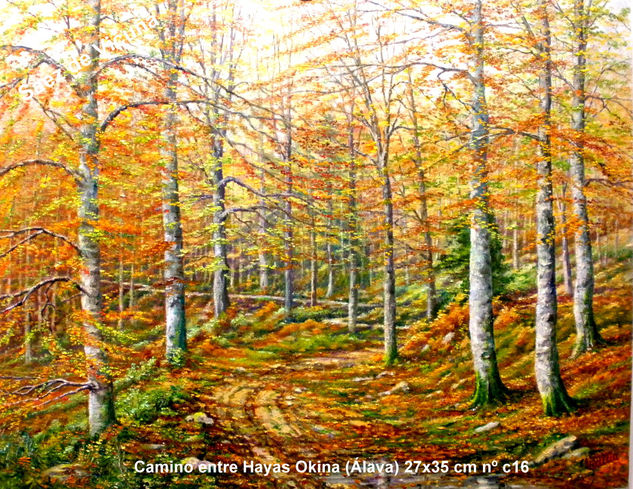 Bosque 27x35 cm nºc16 Óleo Lienzo Paisaje