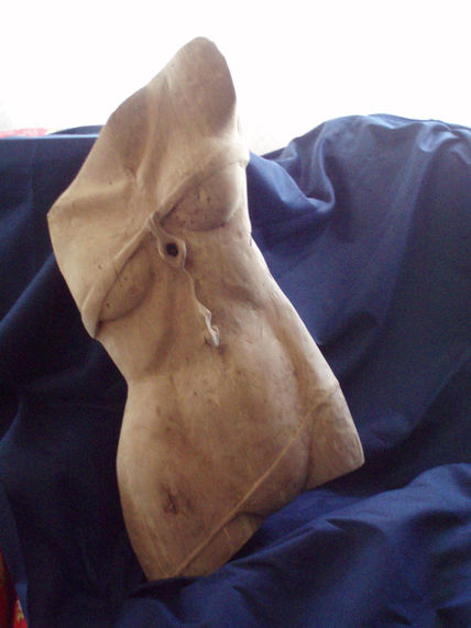 Torso