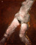 Desnudo