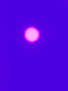 LUNA LUNERA