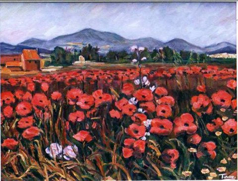 amapolas Oil Canvas Landscaping