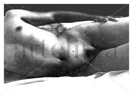 Desnudo