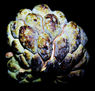 Sugar apple