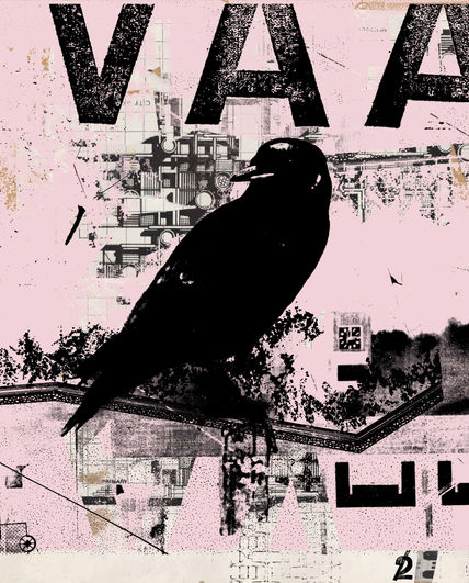 Black Bird