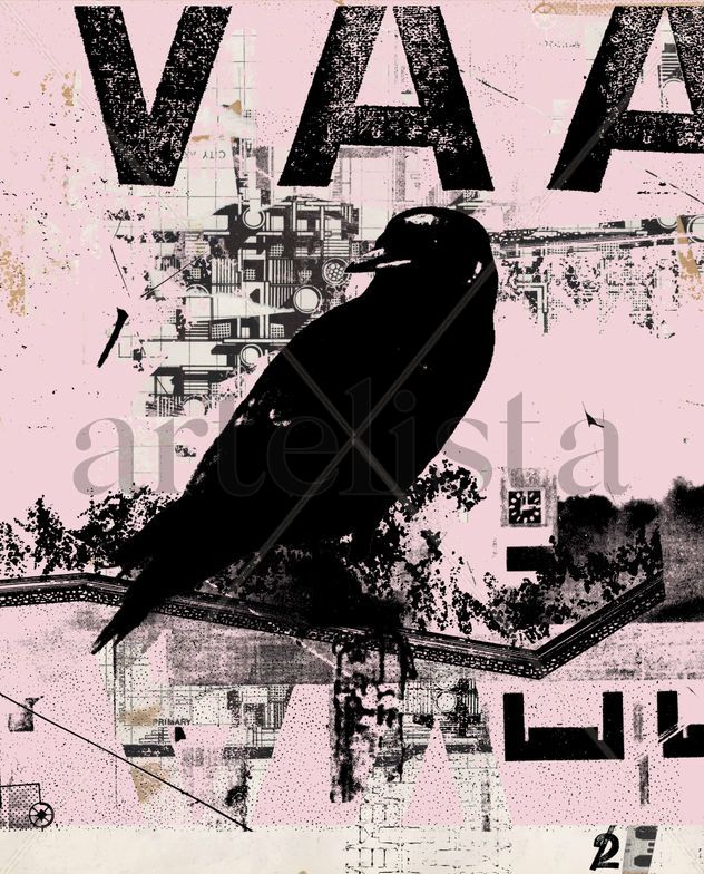 Black Bird