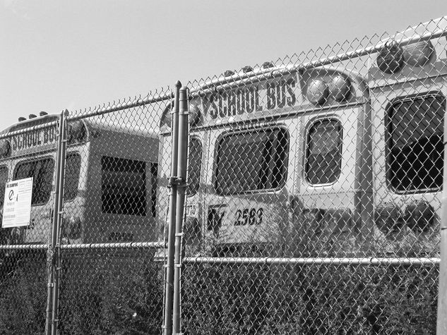 School Bus Other Themes Black and White (Digital)