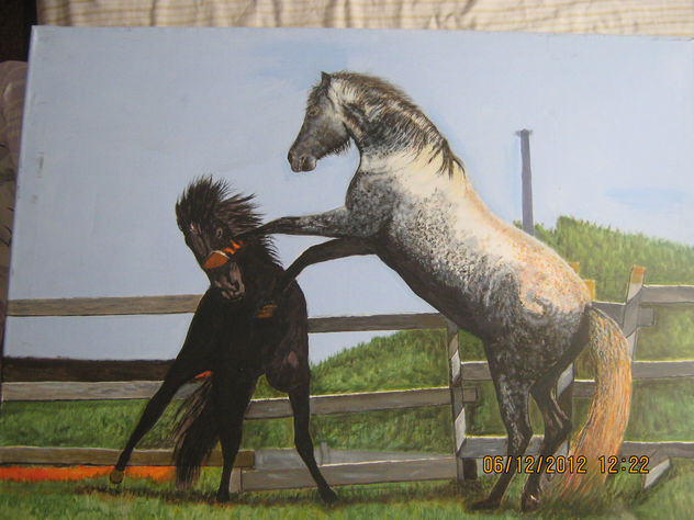 caballos machos en pelea