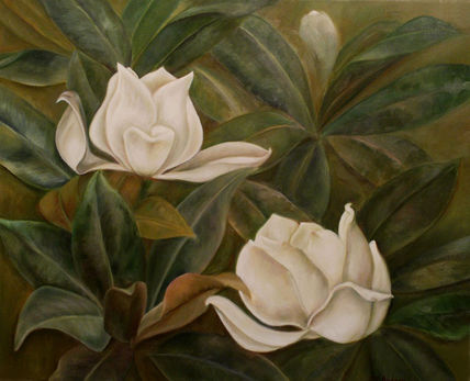 Magnolia II