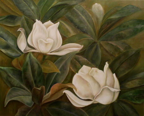 Magnolia II