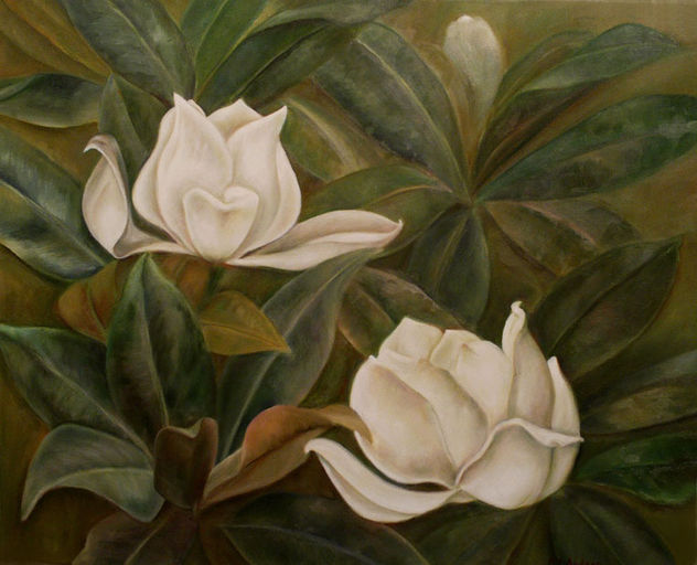 Magnolia II
