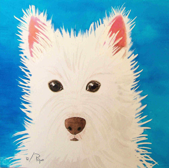 perro blanco Watercolour Paper Animals