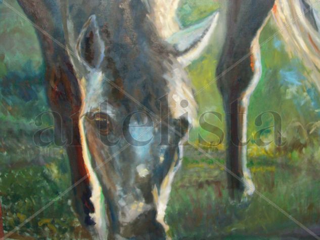 mi paz... Oil Canvas Animals