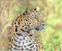 Leopardo