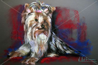 Yorki 2 Pastel Papel Animales