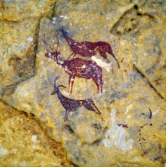 Cueva de la Araña 2 Otros Otros Otros