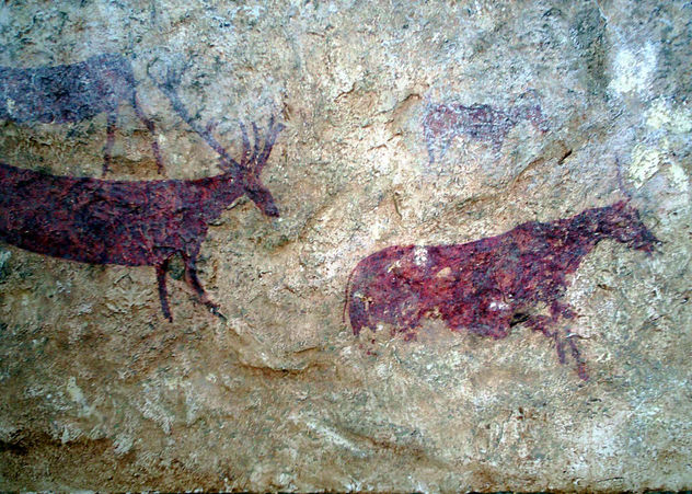 Prado del Tornero
