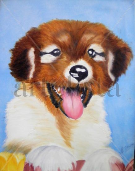 Perrito Oil Canvas Animals