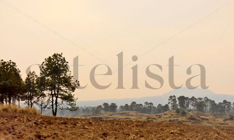 Sed, Alegria, Placer e Insensatez