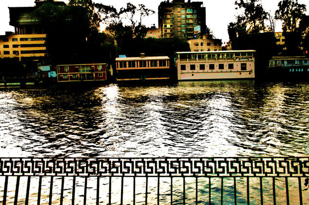 Nile Arquitectura e interiorismo Color (Digital)