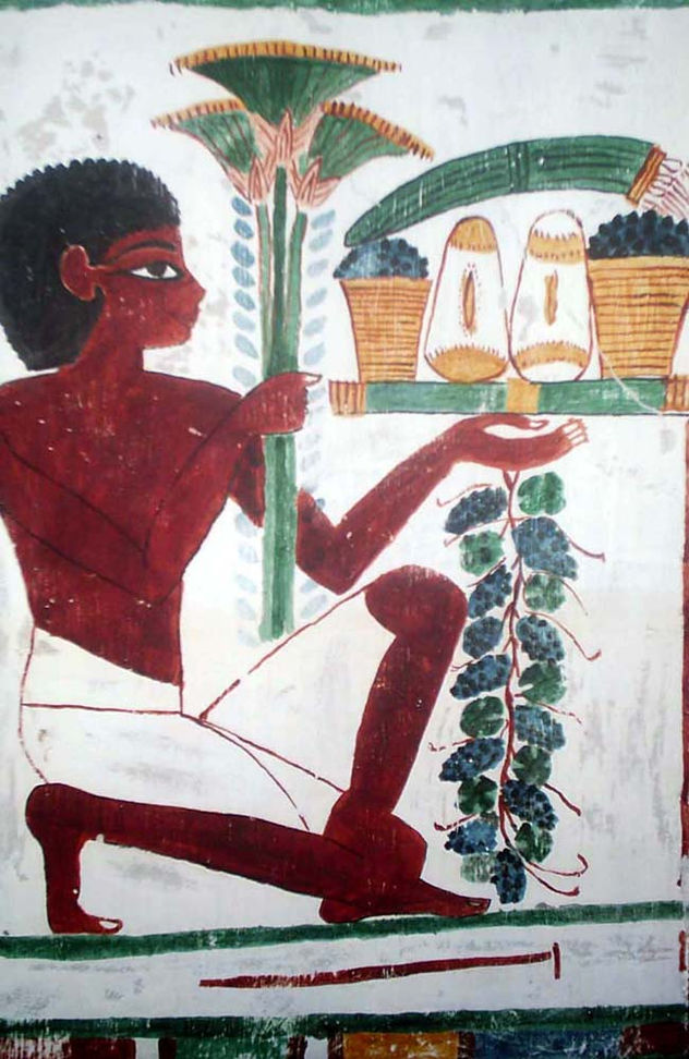 Oferente de la Tumba de Nakht