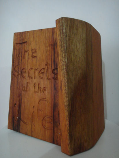 The secrets of the life (parte reversa) Wood Figurative