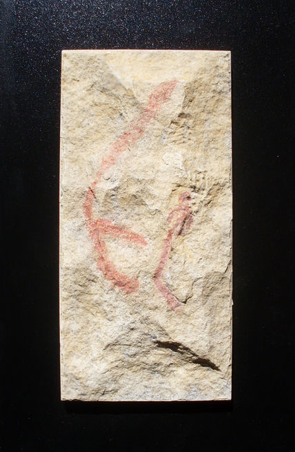 Pinos II