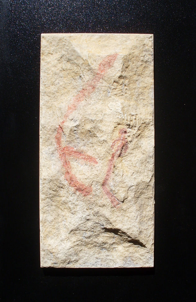 Pinos II