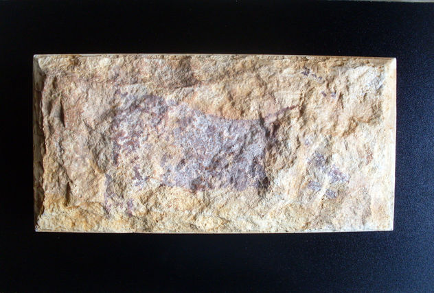 Abric de  les Torrudanes