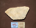 Plaqueta nº 17 778 de la cueva del Parpalló