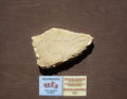 Plaqueta nº 16 180 de la cueva del Parpalló