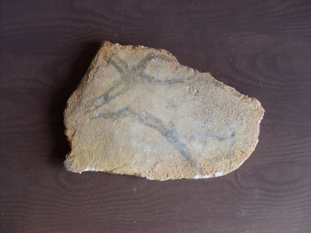 Plaqueta nº 16 452 de la cueva del Parpalló