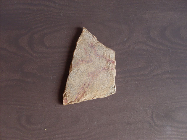 Plaqueta de la cueva del Parpalló nº 16 670