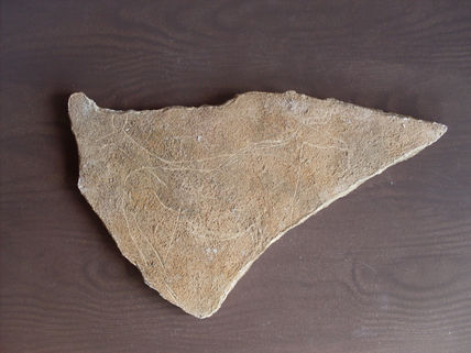 Plaqueta de la...