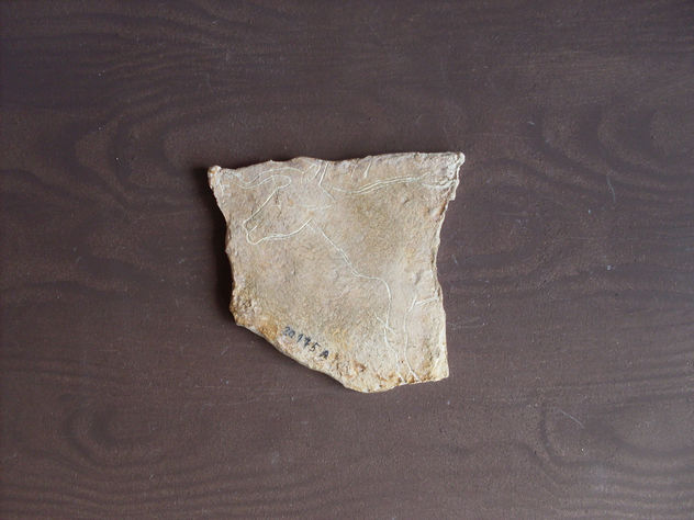 Plaqueta de la cueva del Parpalló nº20157a