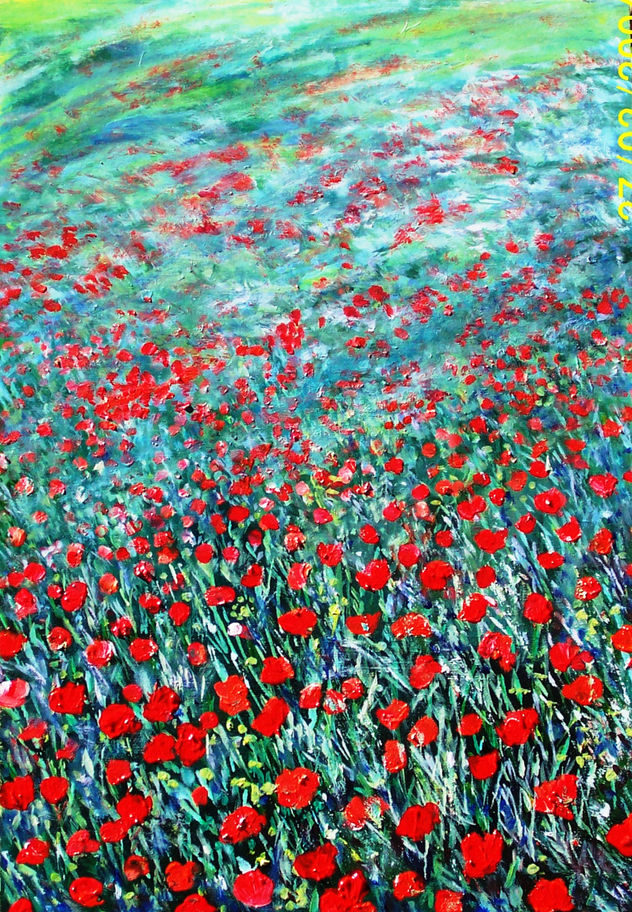 campo con amapolas