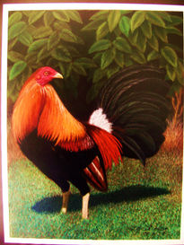 Gallo de pelea