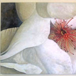 Flores thumbnail 1