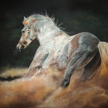 animales thumbnail 1