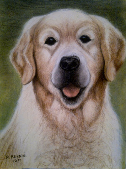 Perro labrador Pencil