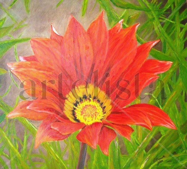 Gazania Oil Canvas Floral Painting