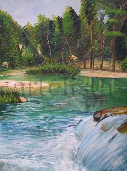 Salto de agua Oil Panel Landscaping