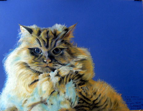 BLUE - Gato de Agnes