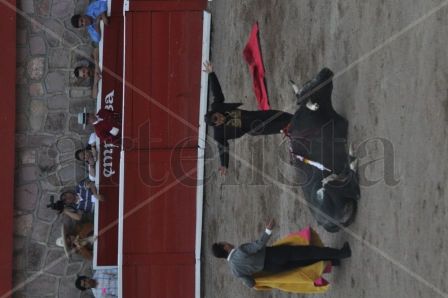 Matador
