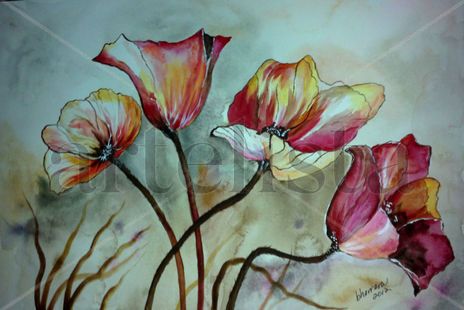 Amapolas1