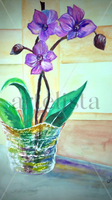 Orquideas