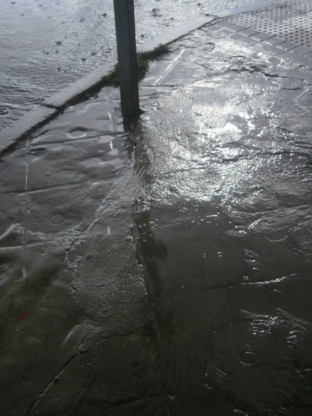 La otra tarde vi llover ... 8
