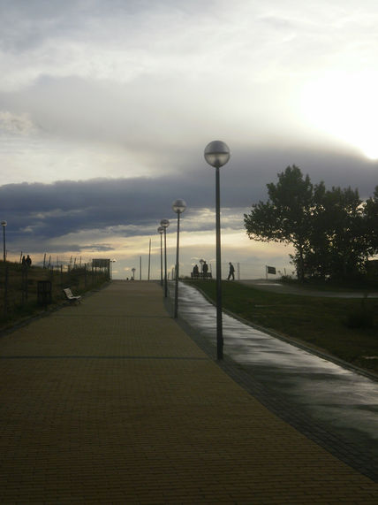 La otra tarde vi...