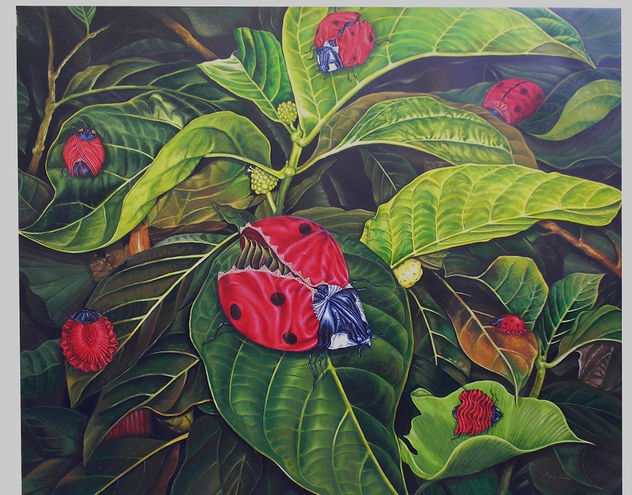 PASARELA